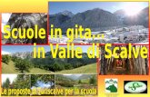 Comunità Montana Valle di Scalve. Parte del Parco Regionale delle Orobie da oltre 20 anni, la Valle è composta da 4 comuni con circa 4.500 abitanti complessivi: