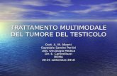 TRATTAMENTO MULTIMODALE DEL TUMORE DEL TESTICOLO Dott. A. M. Alberti Ospedale Sandro Pertini UOC Oncologia Medica Dir. E. Cammilluzzi ROMA 20-21 settembre.