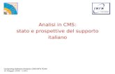 16 Maggio 2006 - CSN1 Computing-Software-Analysis CMS-INFN TEAM Analisi in CMS: stato e prospettive del supporto italiano.