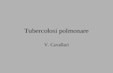 Tubercolosi polmonare V. Cavallari. Tubercolosi Malattia infiammatoria cronica produttiva caratterizzata da granulomi specifici.