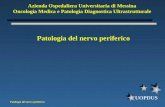 Patologia del nervo periferico UOPDUS Patologia del nervo periferico Azienda Ospedaliera Universitaria di Messina Oncologia Medica e Patologia Diagnostica.
