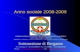 Anno sociale 2008-2009 UNIONE NAZIONALE ITALIANA TRASPORTO AMMALATI A LOURDES E SANTUARI INTERNAZIONALI 00186 ROMA – Via della Pigna – Codice Fiscale 0490018
