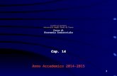 1 Facoltà di Economia U niversità degli Studi di Parma Corso di Economia Industriale Cap. 14 Anno Accademico 2014-2015.