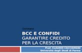 BCC E CONFIDI GARANTIRE CREDITO PER LA CRESCITA Prof. CLAUDIO CACCIAMANI Università degli Studi di Parma Convegno.