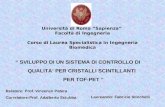 Università di Roma “Sapienza” Facoltà di Ingegneria Corso di Laurea Specialistica in Ingegneria Biomedica Relatore: Prof. Vincenzo Patera Correlatore:Prof.