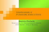 DISPRASSIE E FUNZIONI ESECUTIVE Maurizio Pincherle Responsabile U.O. Neuropsichiatria Infantile ASUR Marche – Zona 9 Macerata.