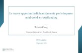 Le nuove opportunità di finanziamento per le imprese: mini-bond e crowdfunding Roberto Calugi Consorzio Camerale per il credito e la finanza CCIAA Udine