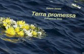 Terra promessa (Lampedusa 2013) Roberto Zaniolo Gelide acque accarezzano le tue speranze e le braccia, immobili, in una danza senza tempo. La luna accarezza.