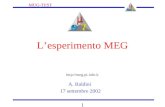 MUG-TEST 1 L’esperimento MEG A. Baldini 17 settembre 2002 .