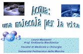 Laura Mazzanti Prof. Ordinario Biochimica Facoltà di Medicina e Chirurgia Università Politecnica delle Marche.