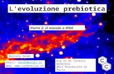 L'evoluzione prebiotica Parte 2: Il mondo a RNA Daniele Dondi Dip.to di Chimica Generale dell’Università di Pavia Email: dondi@unipv.itdondi@unipv.it Web: