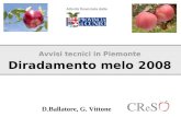Avvisi tecnici in Piemonte Diradamento melo 2008 Attività finanziata dalla D.Ballatore, G. Vittone.