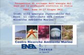 Prospettive di sviluppo dell’energia dal mare per la produzione elettrica in Italia ENEA, Roma 16-17 Giugno 2011 Studi sull’energia rinnovabile dal mare:
