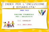 INDEX PER L’INCLUSIONE E DISABILITA’ ANNA PACE FUNZIONE STRUMENTALE PER L’INCLUSIVITA’ I.C. CAVAGLIA’ A.S. 2013-2014.