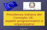 © G. Altana/A.Cutillo Presidenza italiana del Consiglio UE: aspetti programmatici e organizzativi.