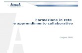 Formazione in rete e apprendimento collaborativo Giugno 2002.