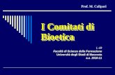 I Comitati di Bioetica Prof. M. Calipari L-19 Facoltà di Scienze della Formazione Università degli Studi di Macerata a.a. 2010-11.