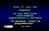 Milano 6-7 marzo 2014 Congresso La cura dell’ictus acuto:modelli organizzativi a confronto “Il percorso ictus: la programmazione ” Anna Orlando.