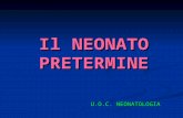 Il NEONATO PRETERMINE U.O.C. NEONATOLOGIA. Parto prematuro Definizione: parto < 37 settimane Frequenza: 10% dei parti (< 32 settimane 2%) Eziologia: eterogenea.