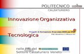 POLITECNICO CALZATURIERO Progetti di formazione finanziata 2003 per PMI POLITECNICO CALZATURIERO Innovazione Organizzativa e Tecnologica nelle PMI del.