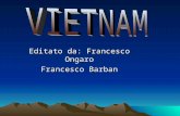 Editato da: Francesco Ongaro Francesco Barban. Confini Il Vietnam confina a nord con la Cina,a ovest con il Laos e a sud ovest con la Cambogia;il mare.