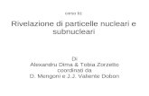 Corso b): Rivelazione di particelle nucleari e subnucleari Di Alexandru Dima & Tobia Zorzetto coordinati da D. Mengoni e J.J. Valiente Dobon.