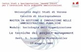 Centro Studi e Sperimentazione “Verona Innova” per l’innovazione delle pubbliche amministrazioni Le tecniche del project management Dott. S. Scarcella.