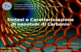 Sintesi e caratterizzazione di nanotubi di carbonio