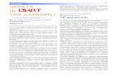 Astroemagazine n13 pag.29-60