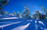 4 Paesaggi Invernali