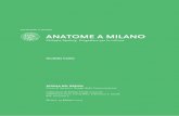 Anatome a Milano. Philippe Apeloig, progettare per la cultura