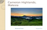 Proposing Cameron Highlands as tentative Cultural Landscape site under UNESCO listing
