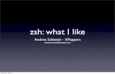 Zsh: what i like