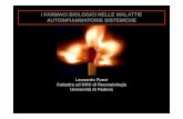 Punzi Leonardo Torino 13° Convegno Patologia Immune E Malattie Orfane 21 23 Gennaio 2010 [Modalità Compa