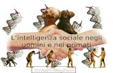 L'intelligenza Sociale Negli Uomini E Nei Primati