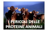 6. pericoli delle proteine animali