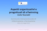 Aspetti organizzativi e progettuali di e twinning