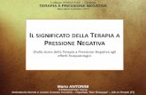 Il significato della tpn   forlì 09.10.2013 - m.antonini