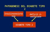 Patogenesi del diabete tipo 2 - di Vincenzo Ostilio Palmieri