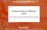 Introduzione al wound care   forlì 09.10.2013 - m.antonini