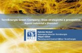 TerniEnergia Green Company: linee strategiche e prospettive Aspetti industriali e finanziari