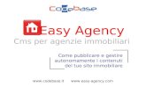 Easy Agency