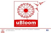 uBloom - il Coworking a Fossano (CN) - Introduzione