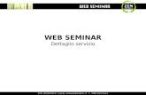 Web seminar ZENWEBVIDEO
