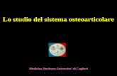 5a Lezione Corso Di Laurea Med Ch - Osteoarticolare