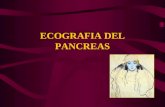 Eco Pancreas