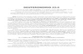 Deuteronomio 22-5