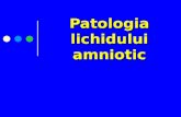 Patologia Amniotica
