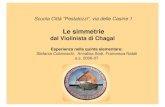 Presentazione esperienza Le Simmetrie dal Violinista di Chagal