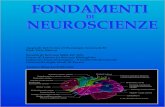Fondamenti di Neuroscienze - Capitolo01